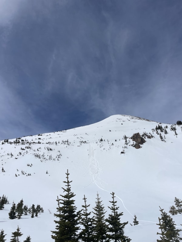 Observation photo 1