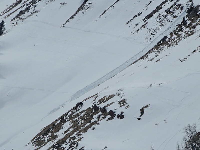 Observation photo 2