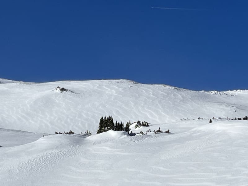 Observation photo 2