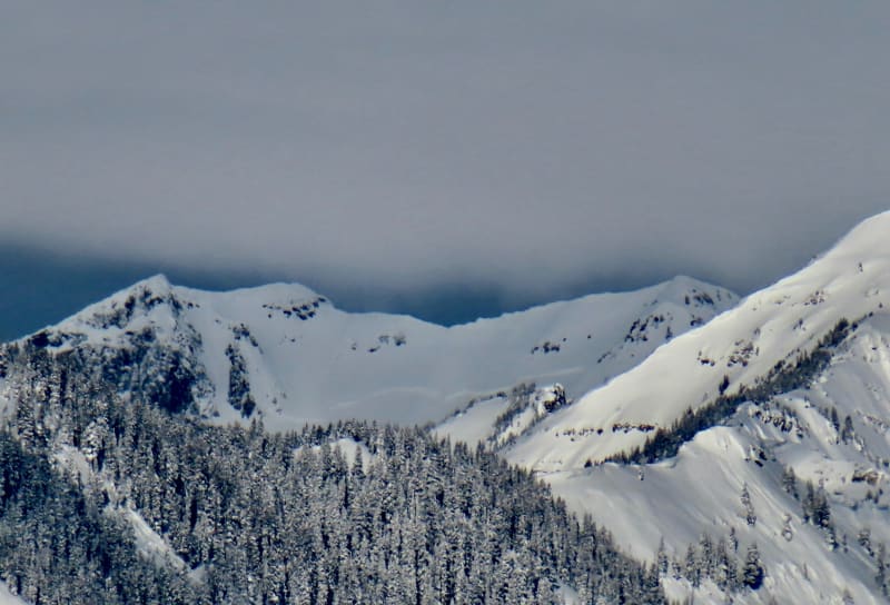 Observation photo 1