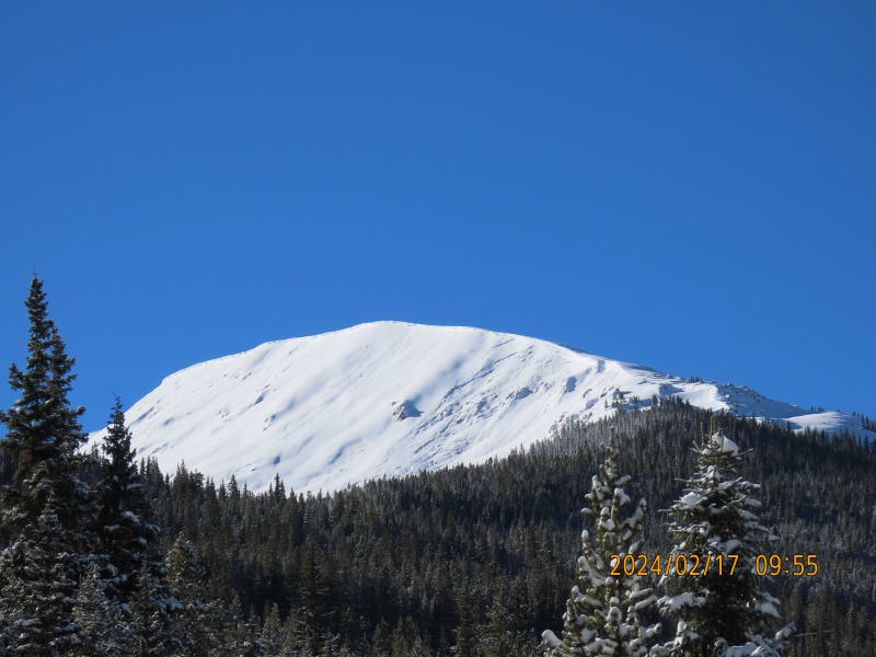 Observation photo 1