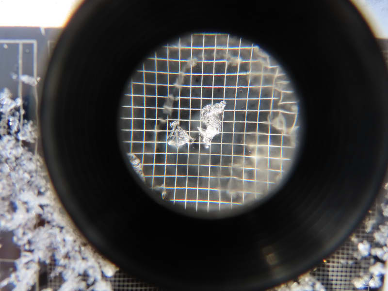 Observation photo 4