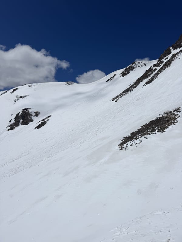 Observation photo 6