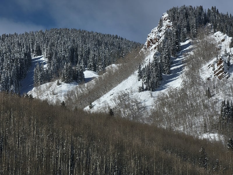 Observation photo 1