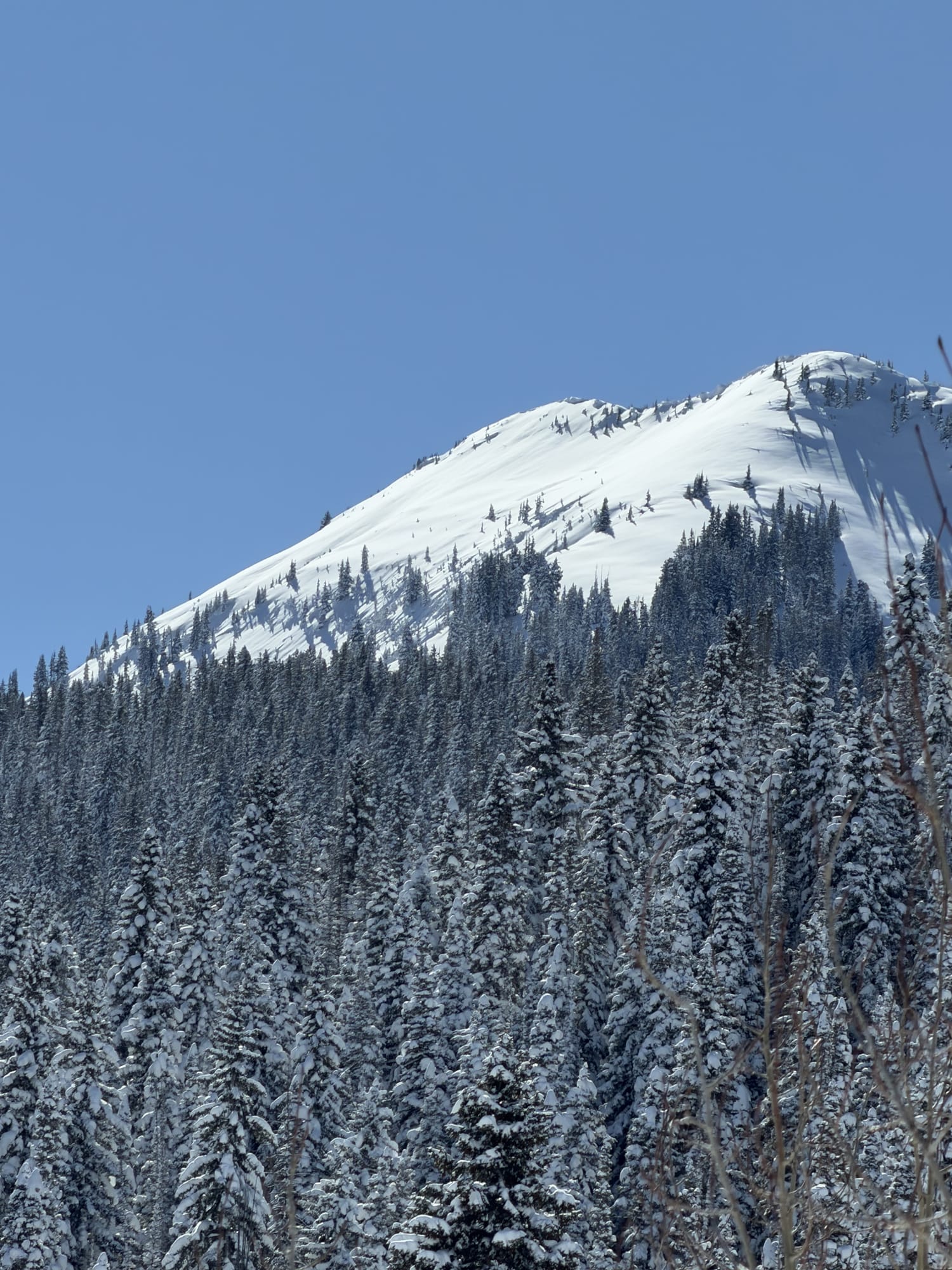 Observation photo