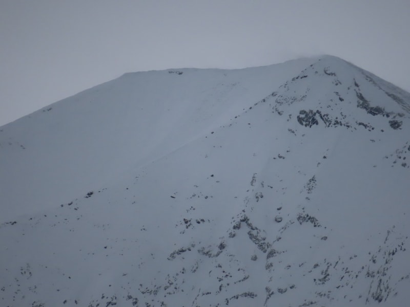Observation photo 4