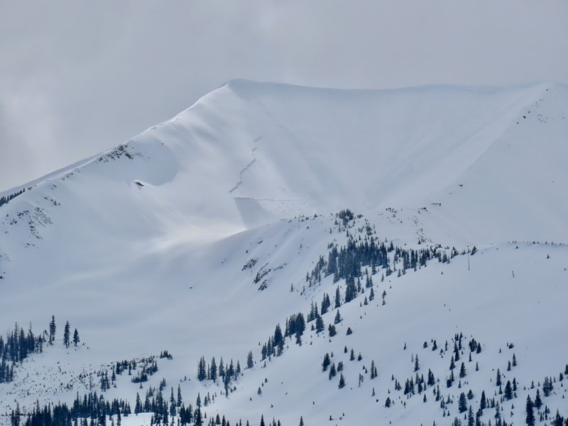 Observation photo 4