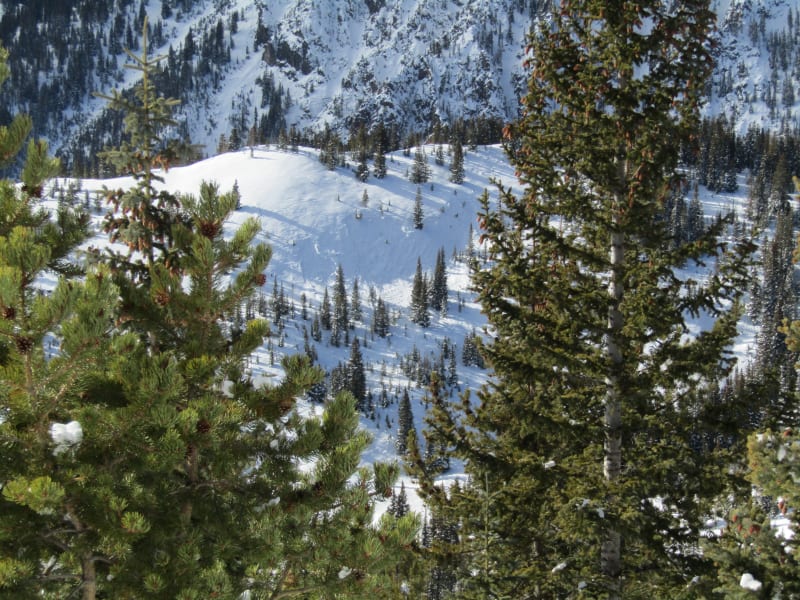 Observation photo 1
