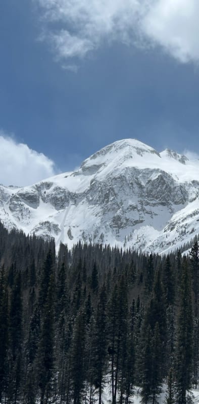 Observation photo 1