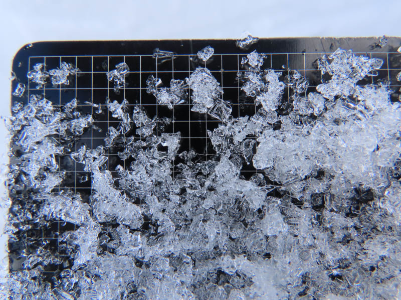 Observation photo 2