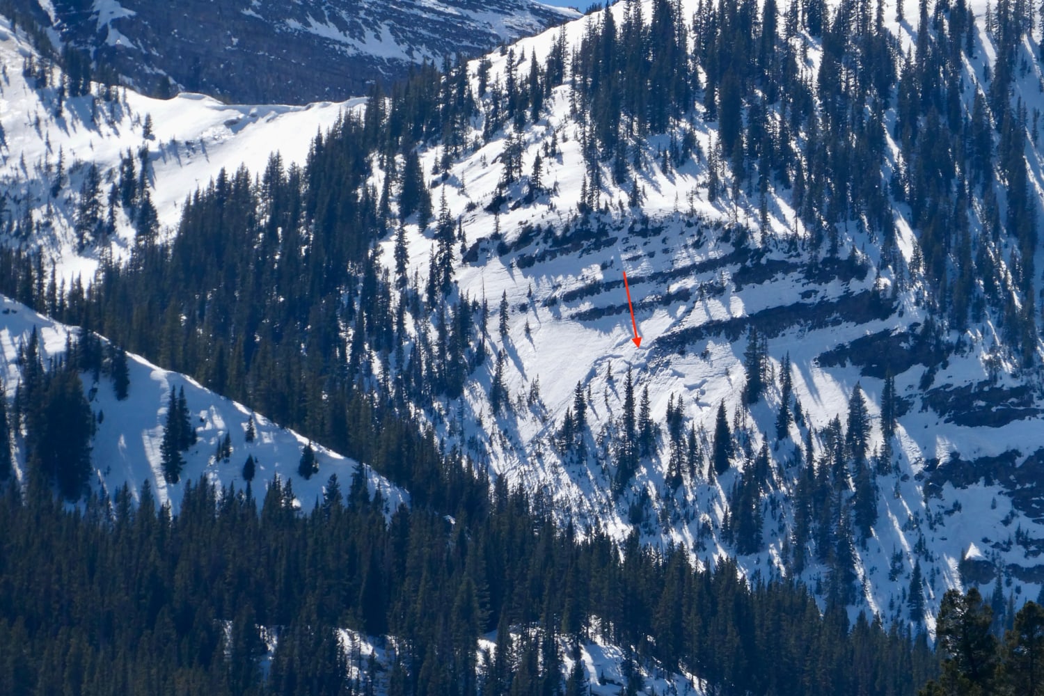 Observation photo