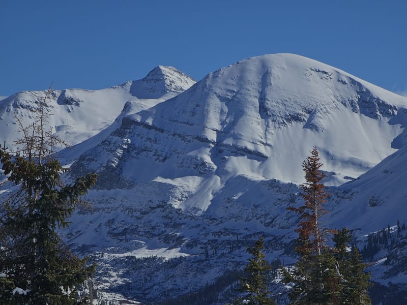 Observation photo 2