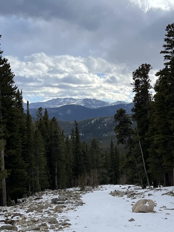 Observation photo 5