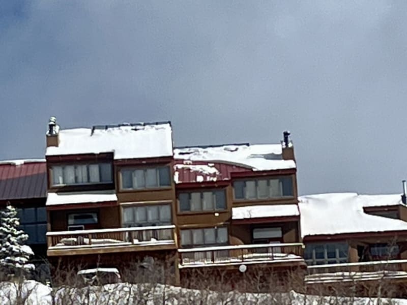 Observation photo 1