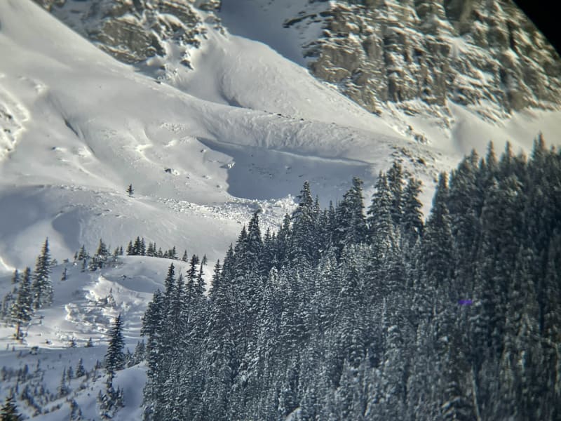 Observation photo 1