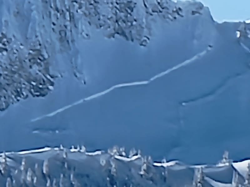 Observation photo 2