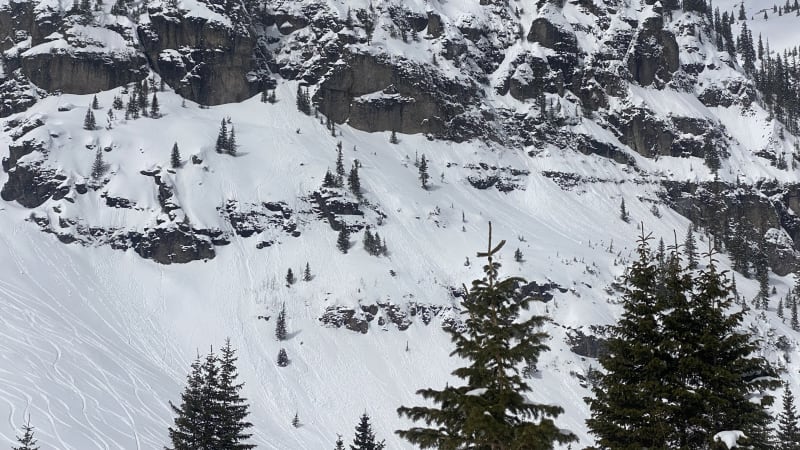 Observation photo 3