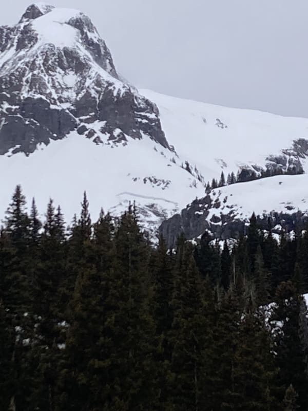 Observation photo 1