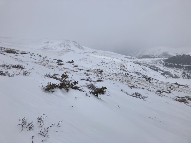 Observation photo 5