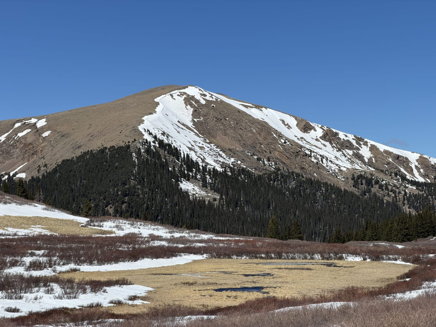 Observation photo