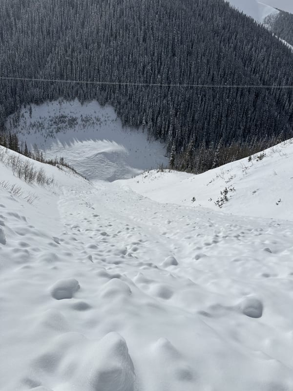 Observation photo 2