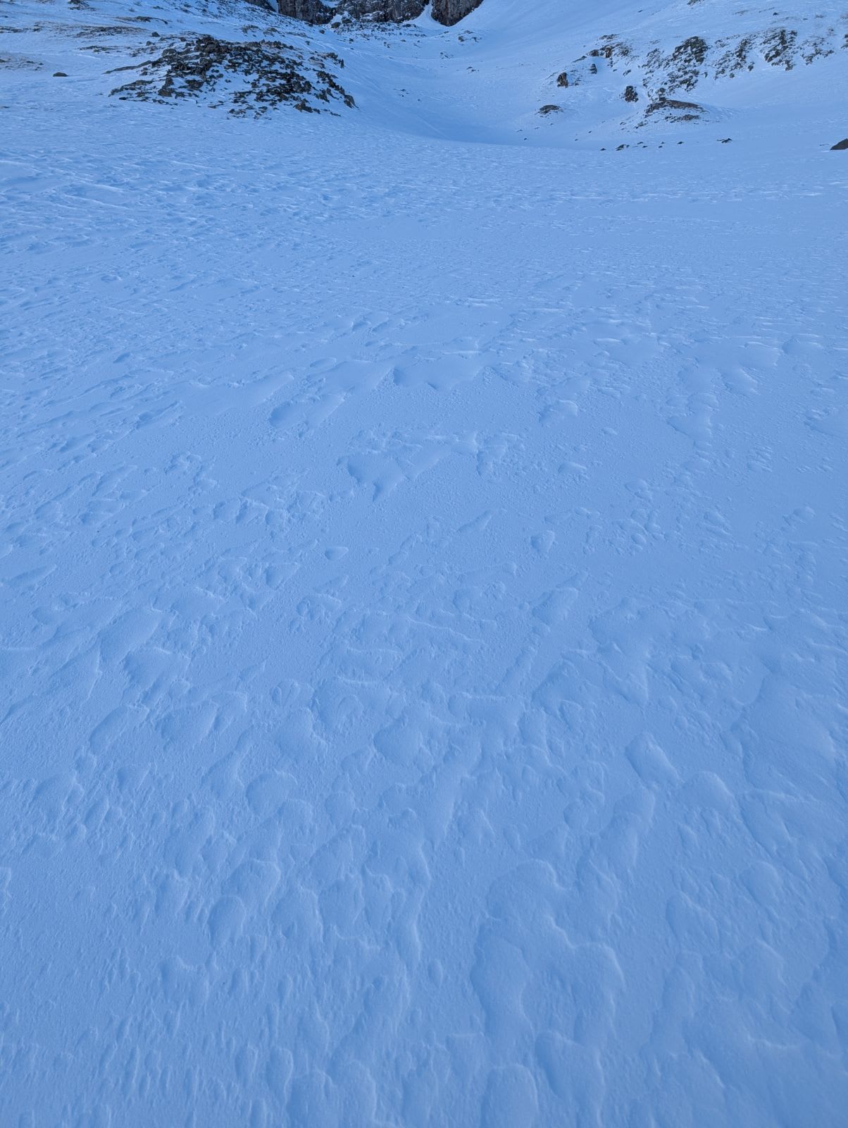 Observation photo