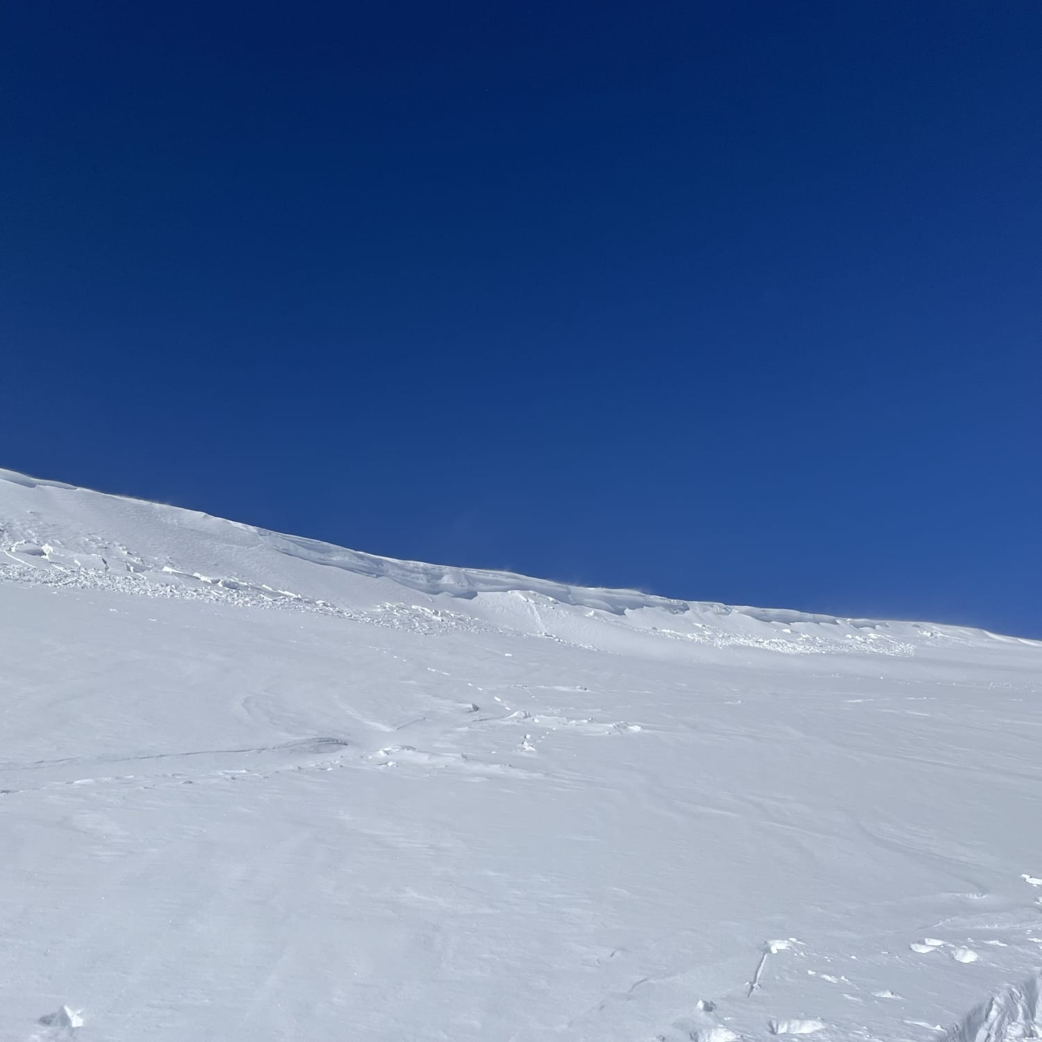 Observation photo