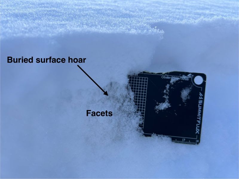 Observation photo 1