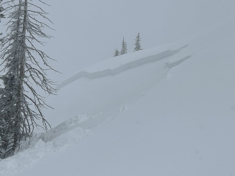 Observation photo 1