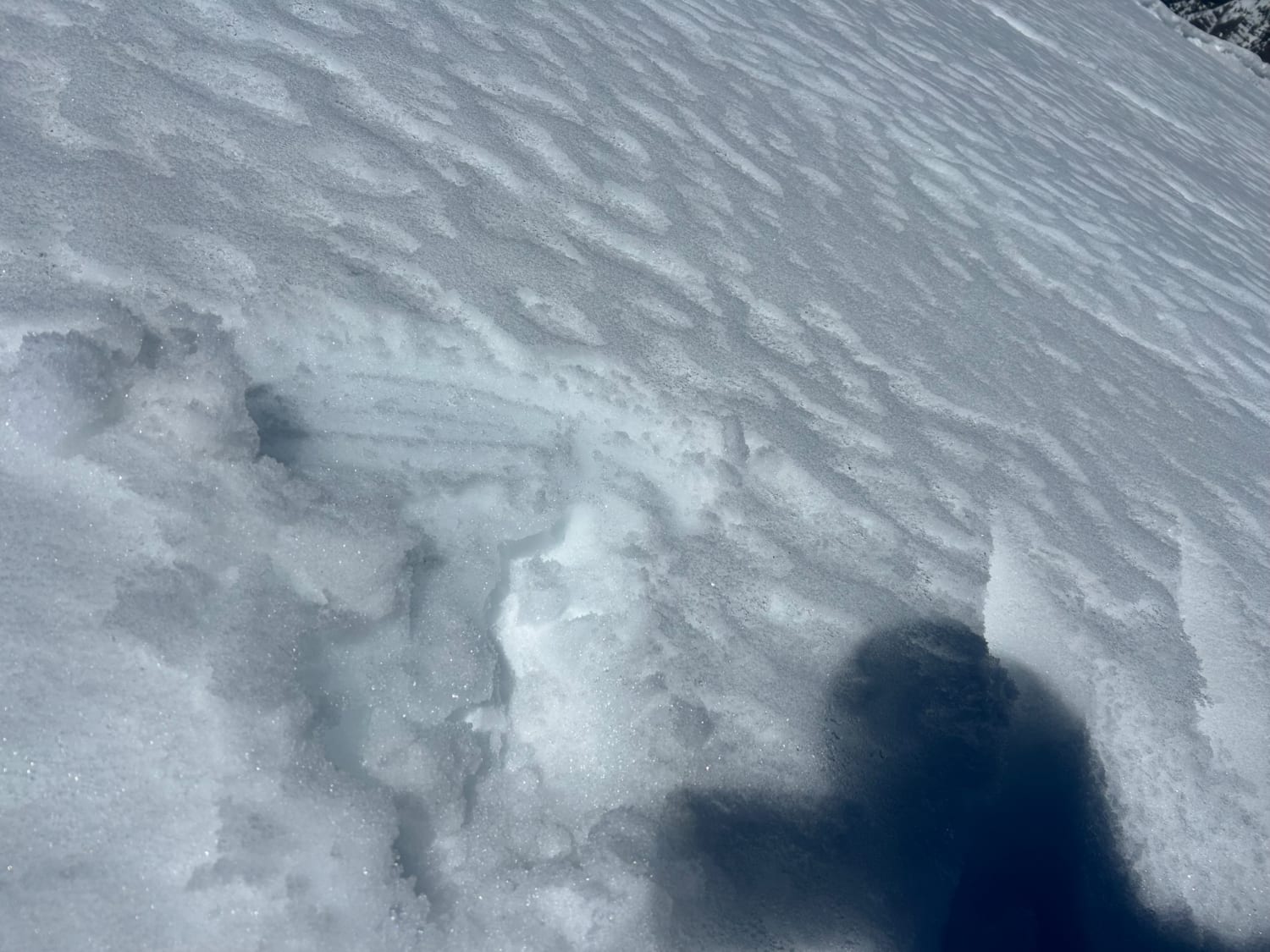Observation photo