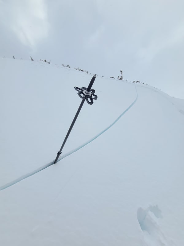 Observation photo 2