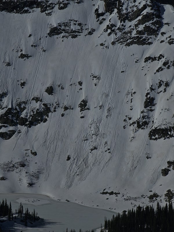 Observation photo 4