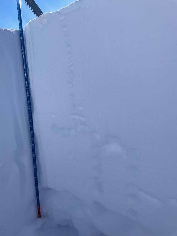 Observation photo 3