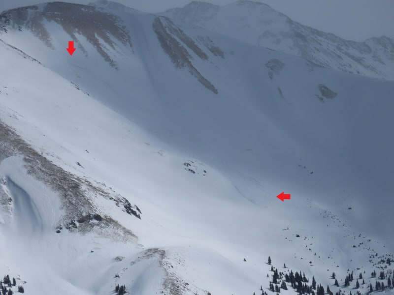Observation photo 7