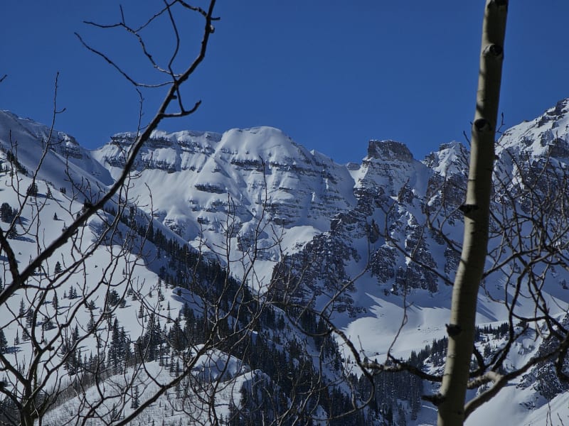Observation photo 5