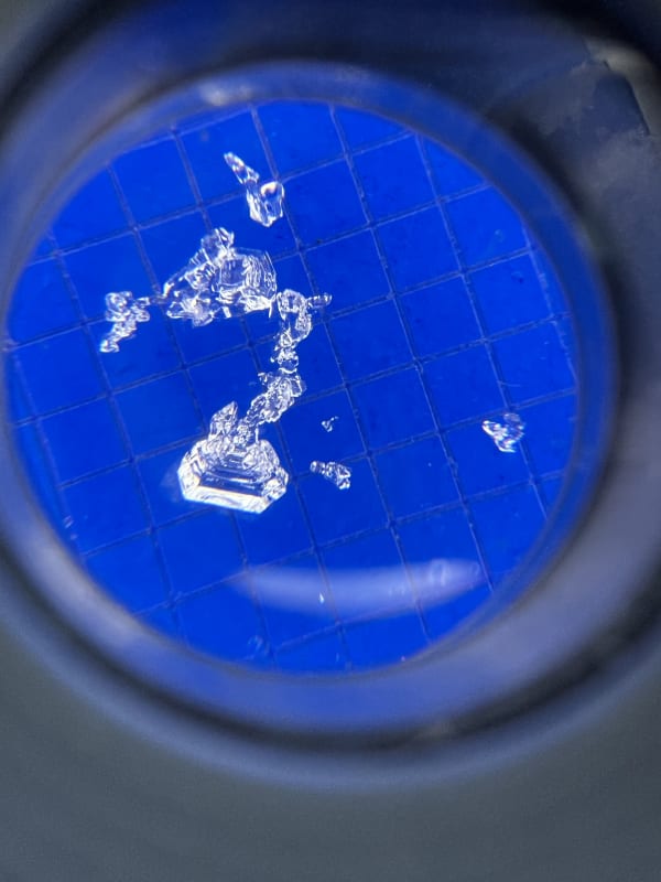 Observation photo 4