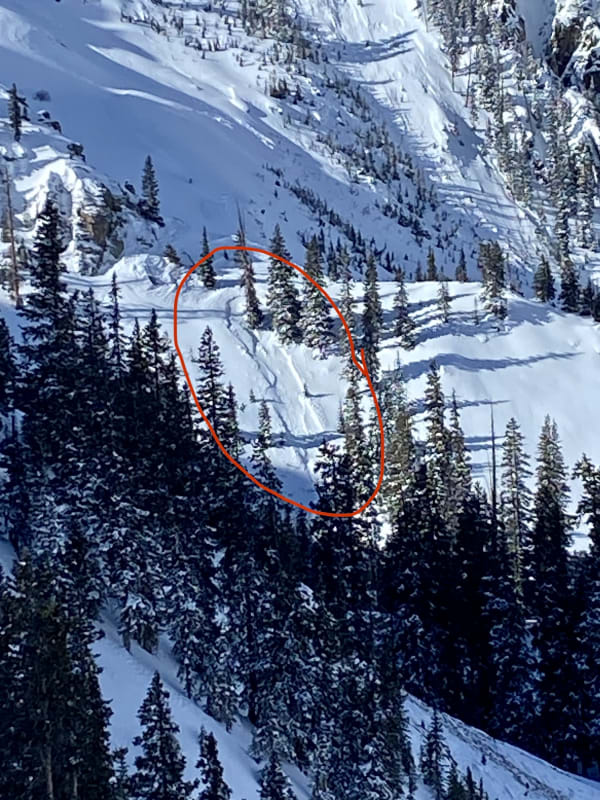 Observation photo 4