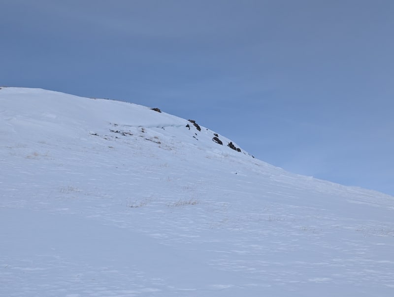 Observation photo 2