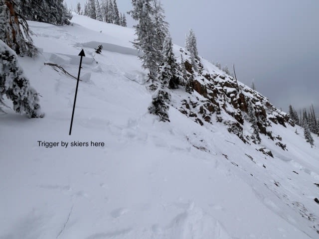 Observation photo 2