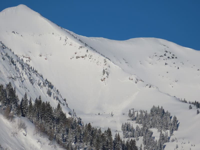 Observation photo 2