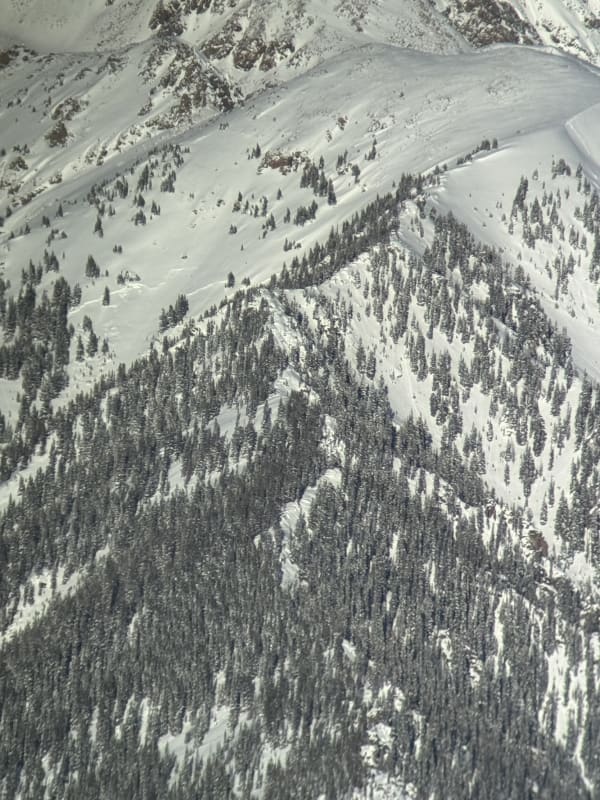 Observation photo 1