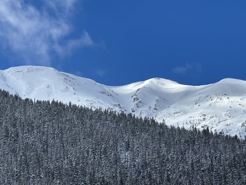 Observation photo 4