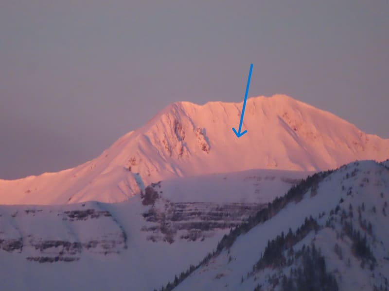 Observation photo 1