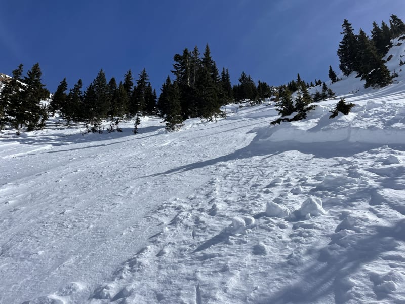 Observation photo 1