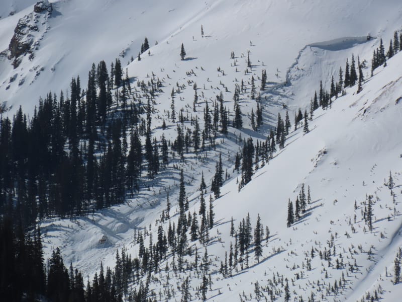 Observation photo 1