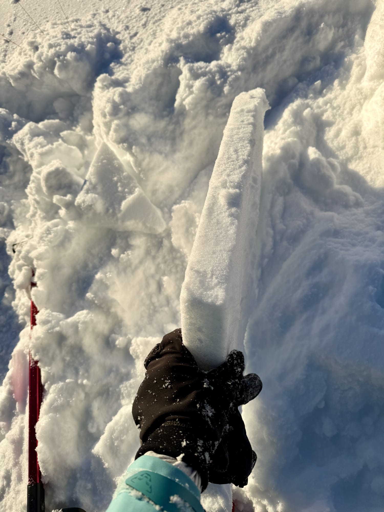 Observation photo