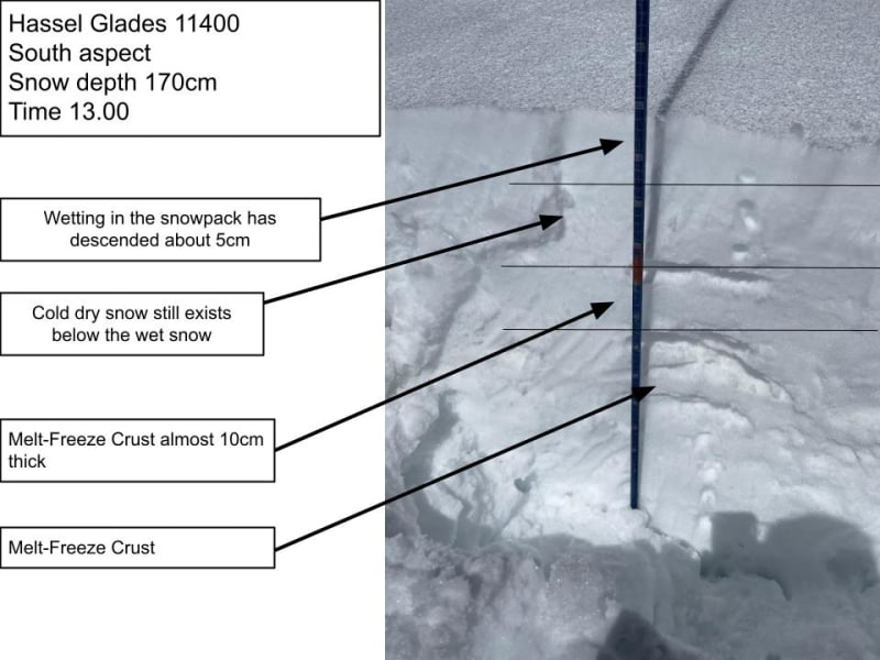 Observation photo 1