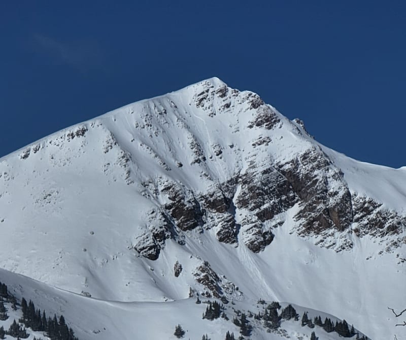 Observation photo 1