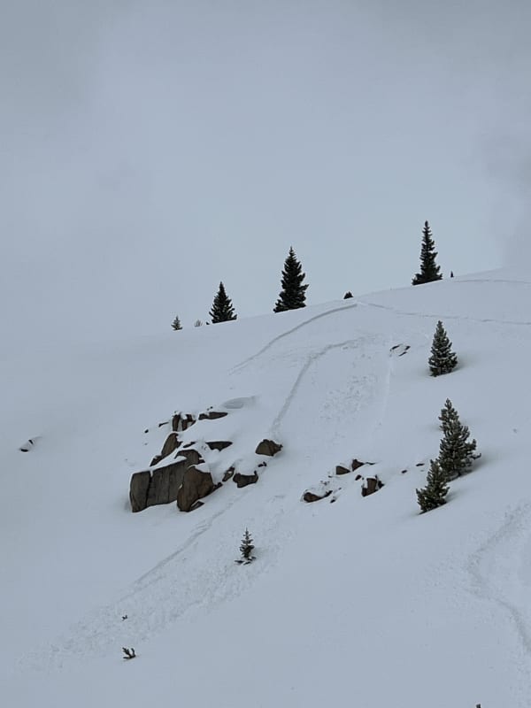 Observation photo 3