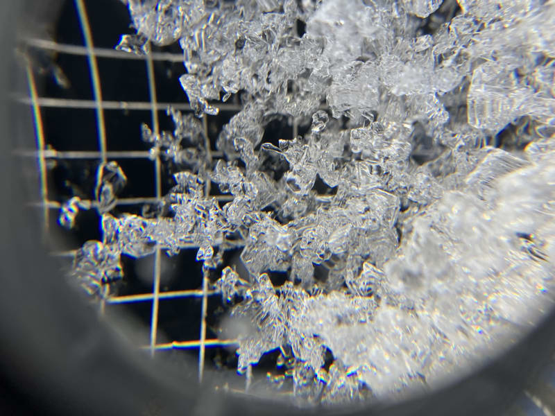 Observation photo 4